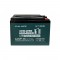 CHILWEE 6-EVF-45 MAX GRAPHENE SUPER BATTERY 12V/45AH CHILWEE 6-EVF-45 MAX GRAPHENE SUPER BATTERY 12V/45AH