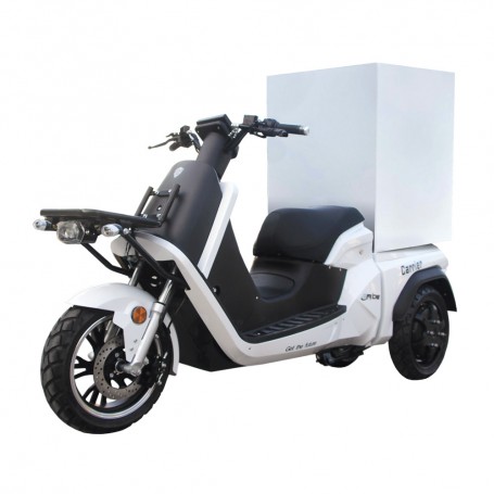 E-RIDE CARRIER DELIVERY 100 E-RIDE CARRIER DELIVERY 100