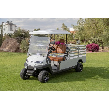 E-RIDE ER-EH05Y MINI TRUCK-72V with railings