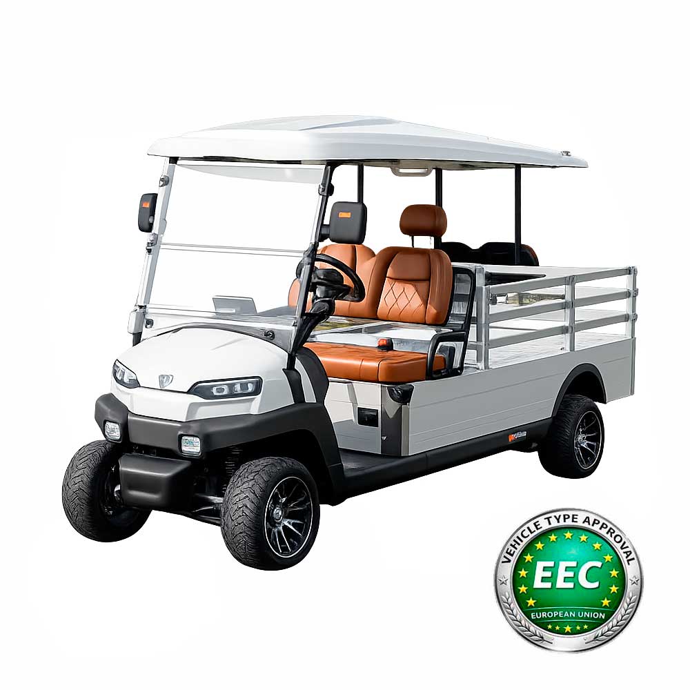 E-RIDE ER-EH05Y MINI TRUCK-72V with railings