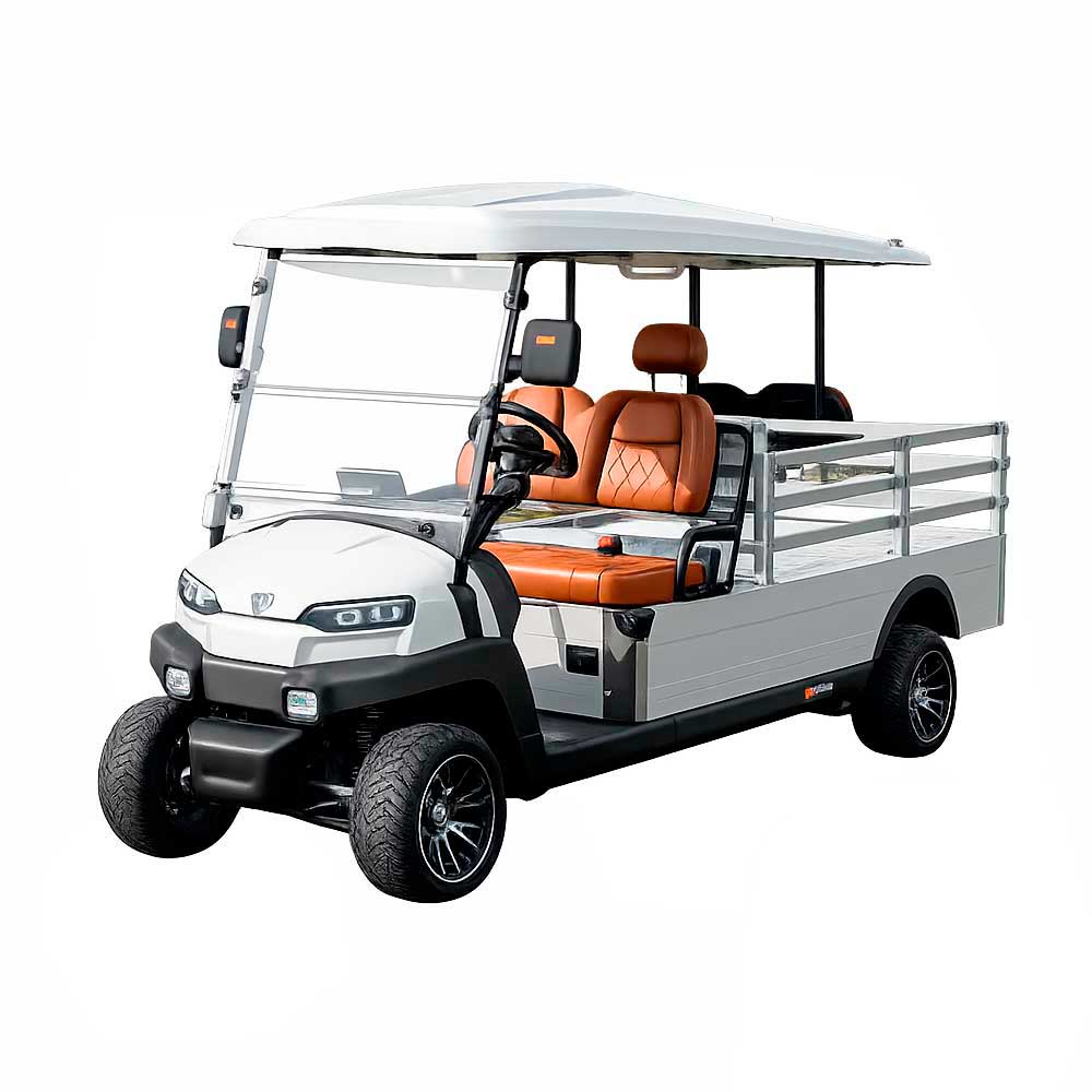 E-RIDE ER-EH05Y MINI TRUCK-72V with railings