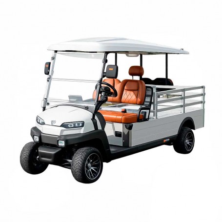 E-RIDE ER-EH05Y MINI TRUCK-72V with railings