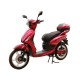 E-RIDE LIBERTY-C E-RIDE LIBERTY-C