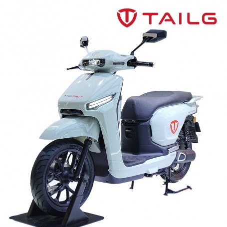 TAILG T80 45km/h TAILG T80 45km/h