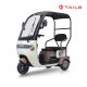 TAILG X4 LEAD ACID 25km/h