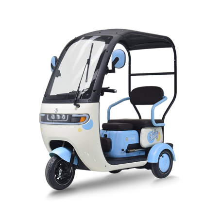 TAILG X4 LEAD ACID 25km/h TAILG X4 LEAD ACID 25km/h