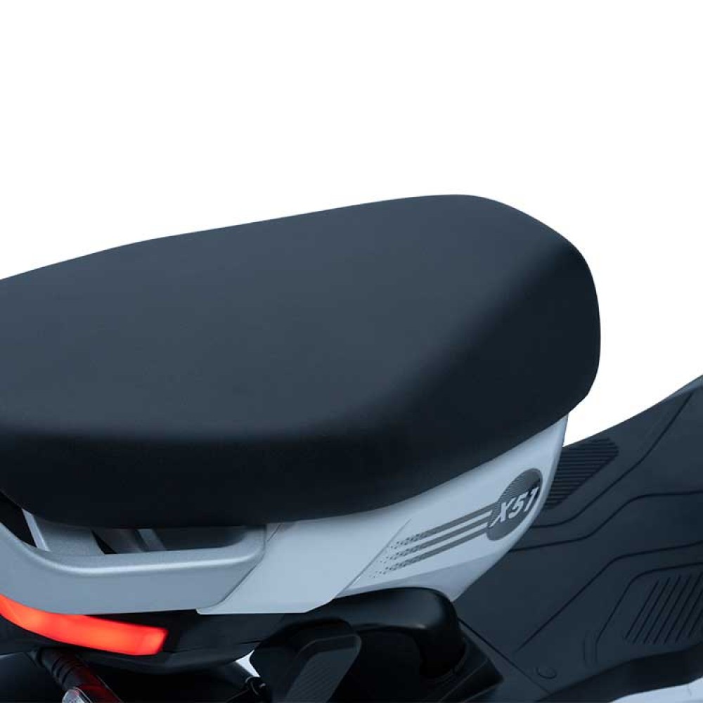 TAILG X51 LEAD ACID 25km/h