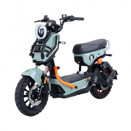 TAILG X51 LEAD ACID 25km/h