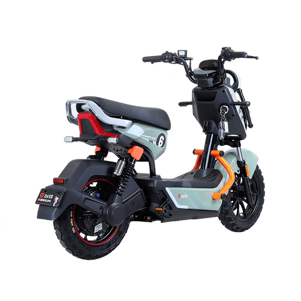 TAILG X51 LEAD ACID 25km/h