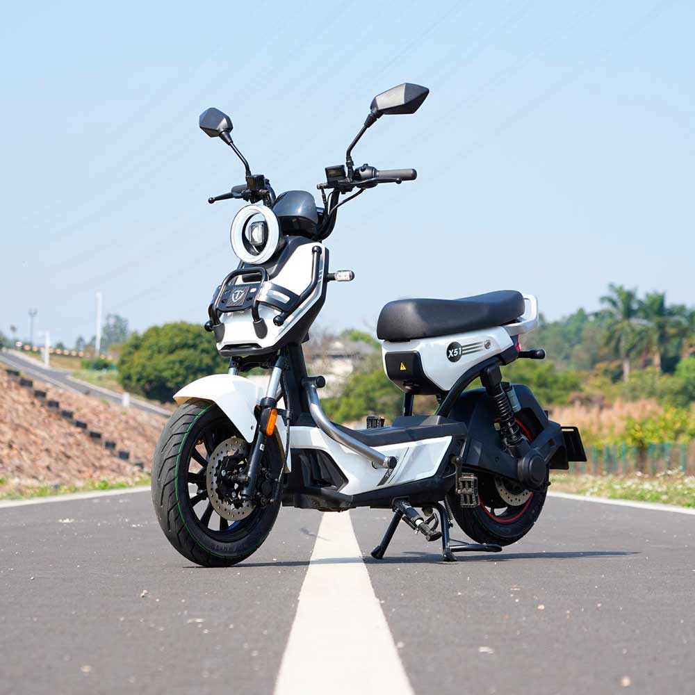 TAILG X51 LEAD ACID 25km/h