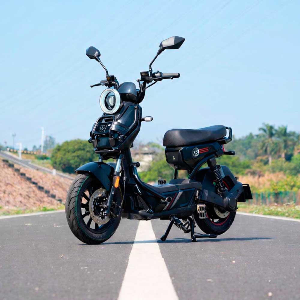 TAILG X51 LEAD ACID 25km/h