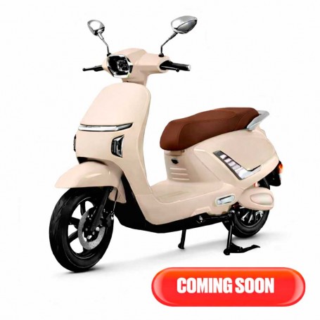 E-RIDE VSP PLUS 25km/h (72V/27AH) 