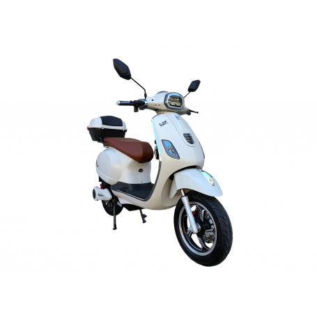 VSP 25KM/H E-RIDE