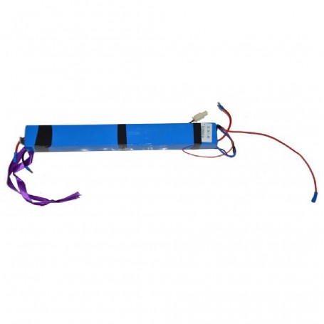 ΜΠΑΤΑΡΙΑ W6 36V / 7,8Ah RKS