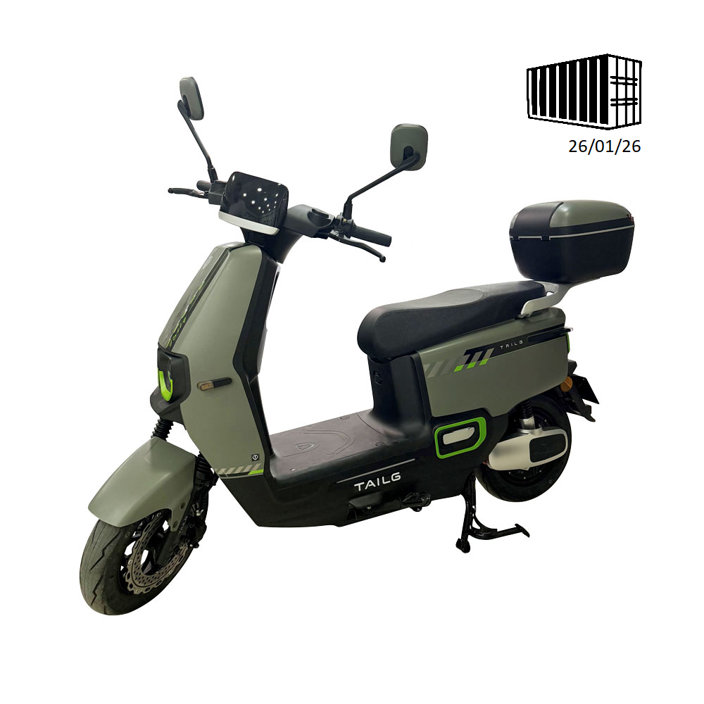 TAILG F52 LEAD ACID 25km/h