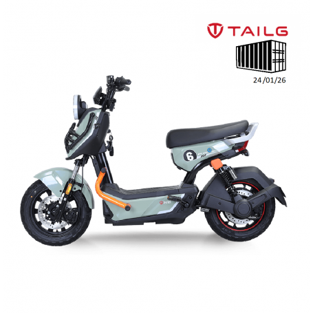 TAILG X51 LEAD ACID 25km/h