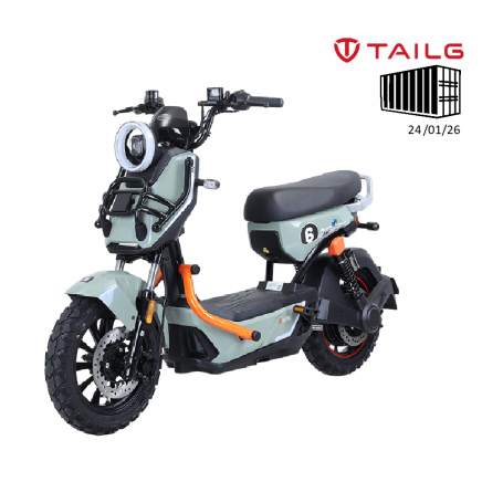 TAILG X51 LEAD ACID 25km/h
