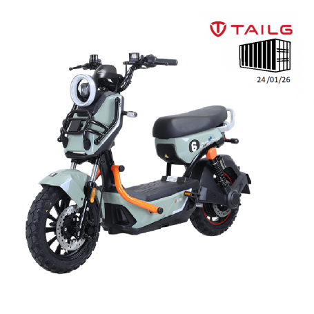 TAILG X51 LEAD ACID 25km/h