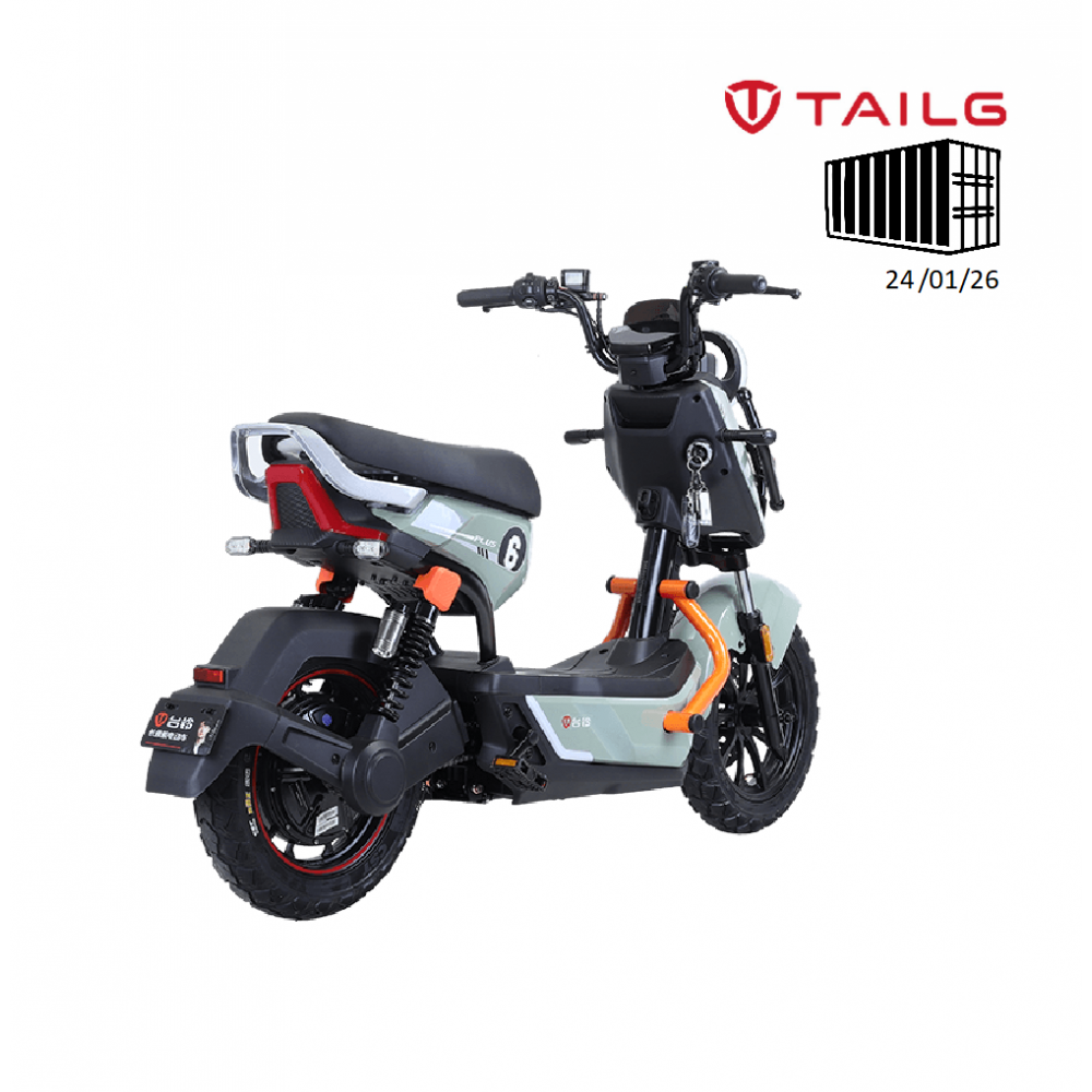 TAILG X51 LEAD ACID 25km/h