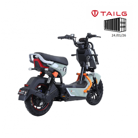 TAILG X51 LEAD ACID 25km/h
